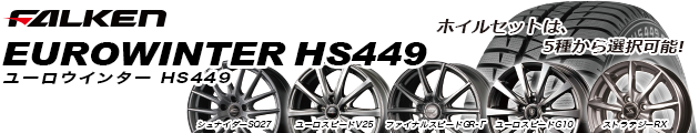 ファルケン ユーロウインターHS449